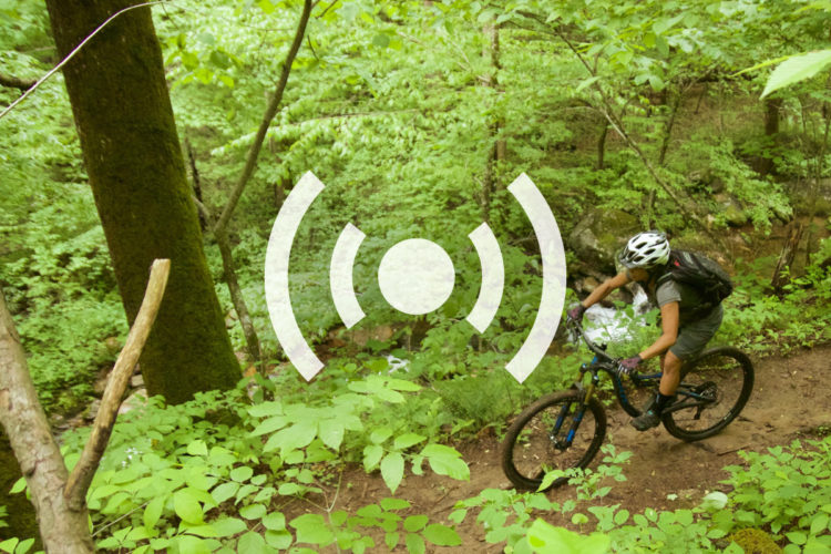 A mountain biker navigating a narrow, winding trail through a lush green forest with trees and foliage surrounding the path.