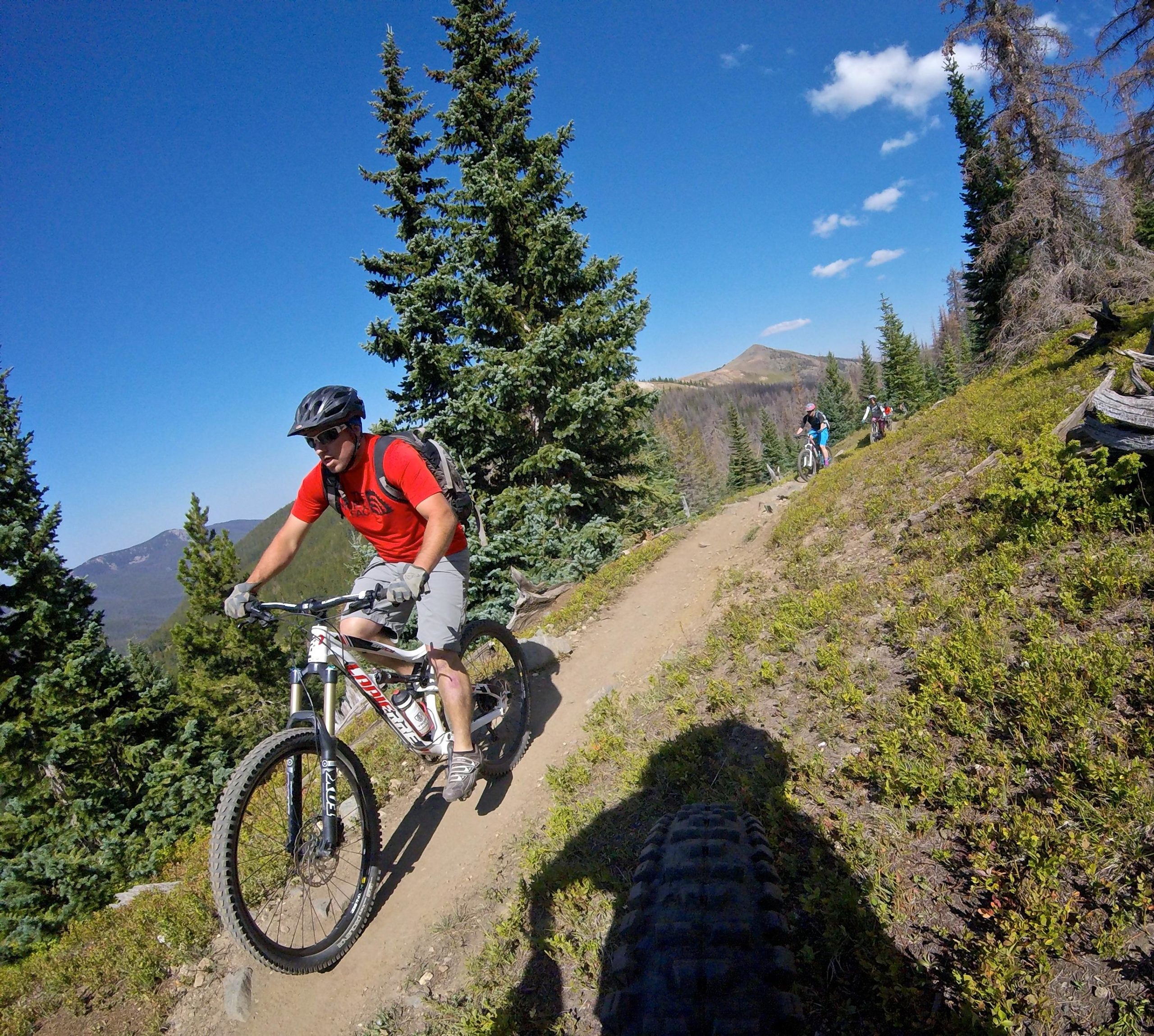 A mountain biker in a red t-shirt rides along a dirt trail surrounded by tall pine trees, with a clear blue sky overhead and a mountainous landscape in the background. Other bikers can be seen in the distance, navigating the same trail. Monarch Crest Trail mountain bike trail.