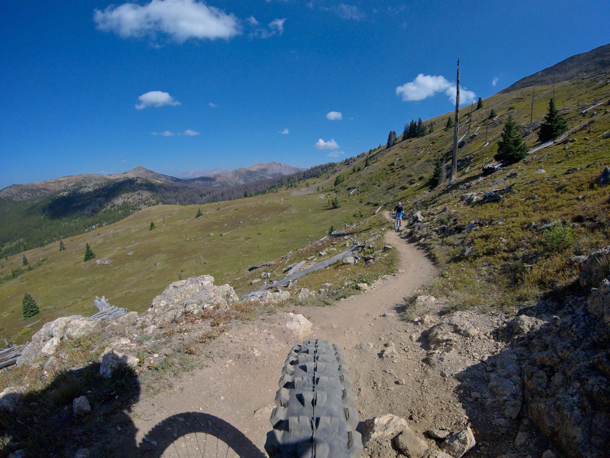 Mountain biking trail with a view of a vast, grassy landscape and distant mountains under a clear blue sky. A cyclist is riding along a narrow dirt path, with the bike tire visible in the foreground. Monarch Crest Trail mountain bike trail.