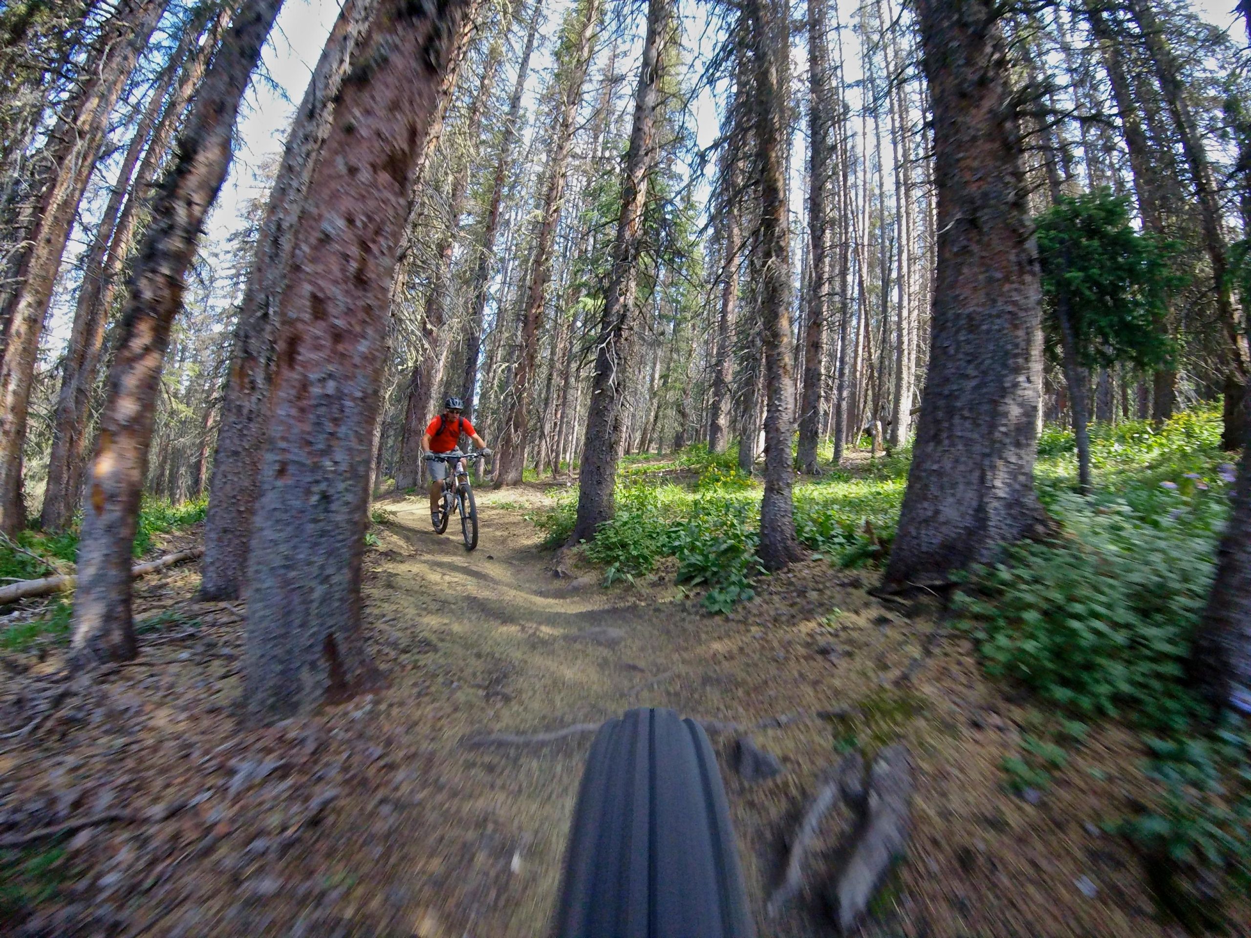 A mountain biker in an orange shirt navigates a winding dirt trail through a forest with tall trees and lush greenery. The perspective includes a view of the bike tire in the bottom corner, emphasizing the motion and dynamic nature of the ride. Monarch Crest Trail mountain bike trail.