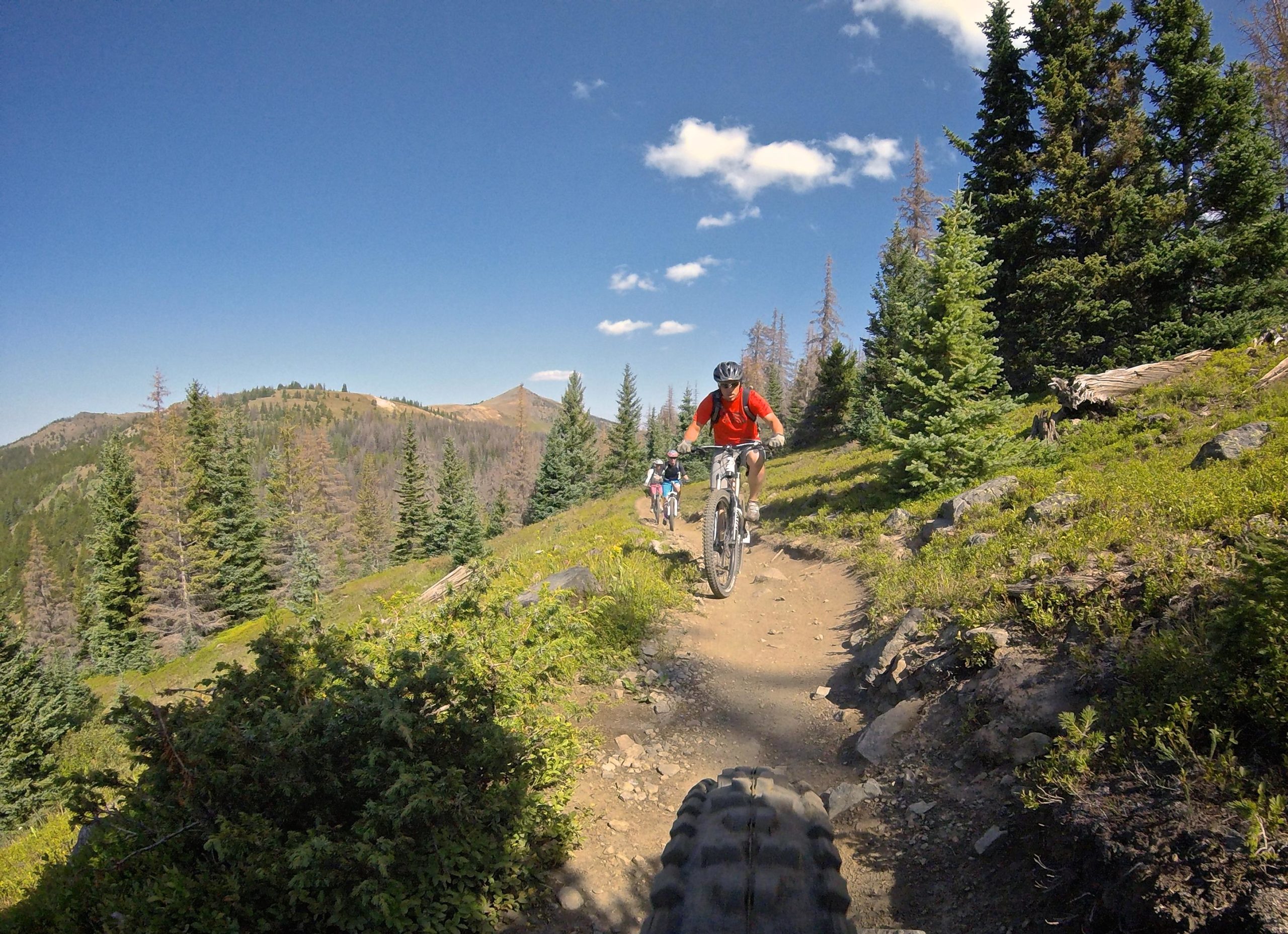 Two mountain bikers riding along a narrow, dirt trail surrounded by lush green trees and rolling hills under a blue sky with a few clouds. One biker, wearing an orange shirt and helmet, is in the foreground, while another rider follows closely behind. The scene captures the essence of outdoor adventure and mountain biking. Monarch Crest Trail mountain bike trail.