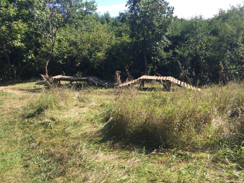 Wooden bike ramps are situated in a grassy area surrounded by trees and underbrush, indicating a natural outdoor setting. The ramps are angled and connect to the ground, suggesting they're designed for biking or recreational use. The sky is clear and bright, adding to the scenic atmosphere. John Muir Trails mountain bike trail.