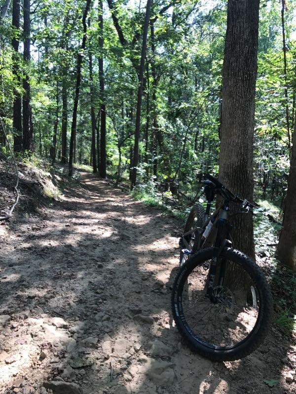 A mountain bike leaning against a tree on a sandy, winding trail in a dense forest, surrounded by lush green foliage and sunlight filtering through the trees. Oak Mountain State Park Bump Trail mountain bike trail.