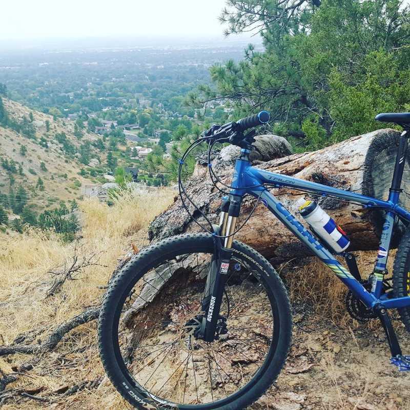A blue mountain bike resting against a fallen log, with a scenic view of a hillside and valley in the background. The landscape features a mix of greenery and residential areas, under a cloudy sky. A water bottle is secured to the bike frame. Zimmerman Trail mountain bike trail.