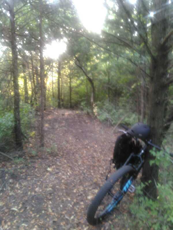 A winding forest trail with dappled sunlight filtering through the trees, and a mountain bike resting against a tree on the side of the path. The ground is covered in fallen leaves, suggesting a tranquil, natural setting perfect for biking or hiking. Skyline Park - Burnetts Mound Trail mountain bike trail.