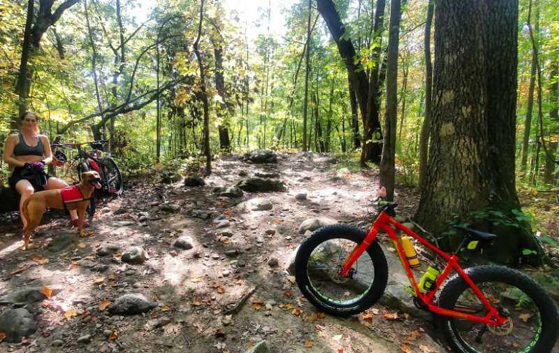 A woman sitting on a rocky trail in a forest, accompanied by a dog, with a red fat tire bike nearby. The scene is surrounded by tall trees displaying fall foliage, with sunlight filtering through the leaves. Potawatomi trail mountain bike trail.