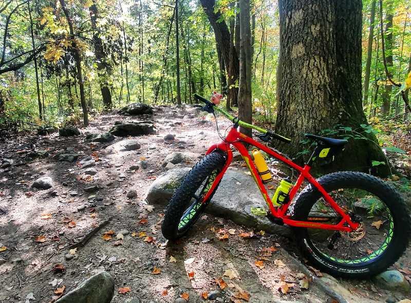 A vibrant red fat bike is leaning against a large tree in a forested area, surrounded by rocky terrain and scattered autumn leaves. Sunlight filters through the trees, highlighting the lush greenery and creating a serene outdoor atmosphere. Potawatomi trail mountain bike trail.