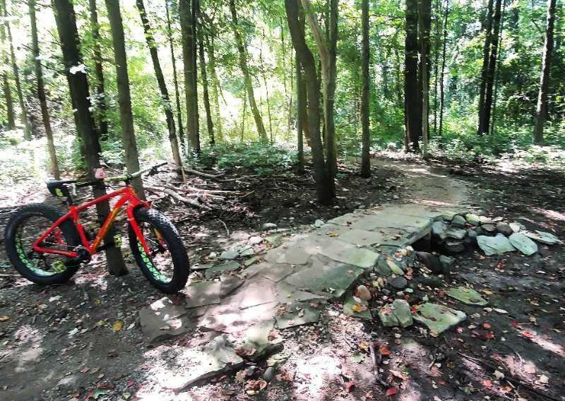A vibrant red mountain bike parked next to a stone pathway in a lush green forest. Sunlight filters through the trees, highlighting the bike and the natural surroundings. The path leads through the woods, bordered by rocks and foliage. Stony Creek Metro Park mountain bike trail.