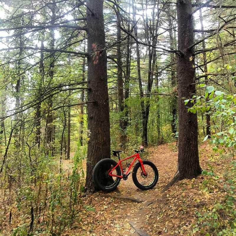 A bright red fat bike leaning against two tall trees along a dirt path in a forest. The ground is covered with fallen leaves, and greenery surrounds the area, creating a serene outdoor atmosphere. Pontiac Lake mountain bike trail.