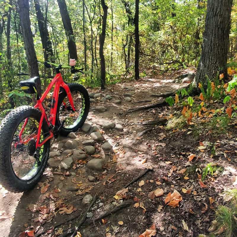 A bright red fat tire mountain bike parked on a narrow, rocky trail surrounded by trees in a forest setting. Fallen leaves in shades of orange and yellow cover the ground, indicating autumn. Pontiac Lake mountain bike trail.