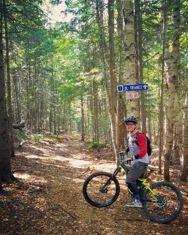 A person on a mountain bike stands on a dirt trail surrounded by tall trees in a forest. A directional sign labeled "TRIANGLE" points to the right, indicating the path ahead. The scene is illuminated by soft sunlight filtering through the leaves. The rider is wearing a helmet and casual biking gear, ready to explore the outdoor terrain. Morin Heights mountain bike trail.