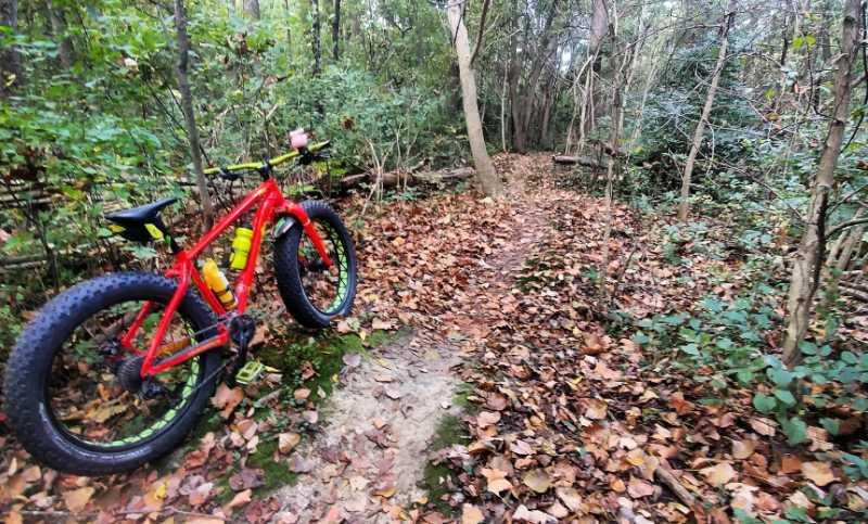A bright red fat bike parked on a leaf-covered trail in a dense forest, surrounded by green foliage and tall trees. The path winds through the woods, showcasing a natural, tranquil setting perfect for biking or hiking. Heritage Park mountain bike trail.