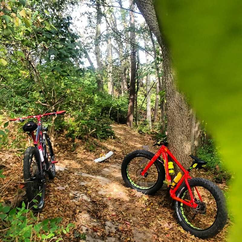 Two bicycles, one red and one black, are parked on a leafy trail surrounded by greenery. The path winds through a forested area with trees and bushes. Fallen leaves cover the ground, creating a natural setting for outdoor exploration. Heritage Park mountain bike trail.