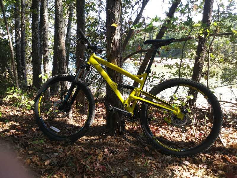 A bright yellow mountain bike leaning against a tree in a wooded area, surrounded by autumn leaves and greenery, with a glimpse of a lake in the background. Paynes Creek mountain bike trail.