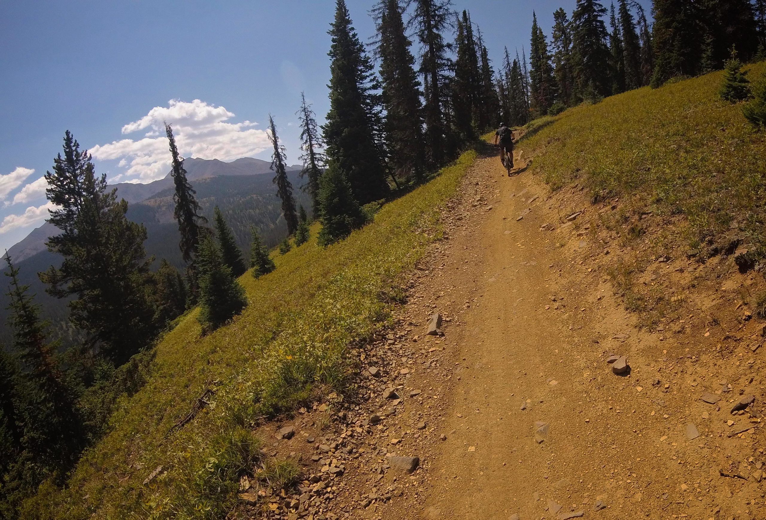 A scenic hiking trail winding through a mountain landscape, bordered by tall pine trees and grassy patches. A lone hiker is visible on the path, with rolling hills and blue skies in the background. Monarch Crest Trail mountain bike trail.