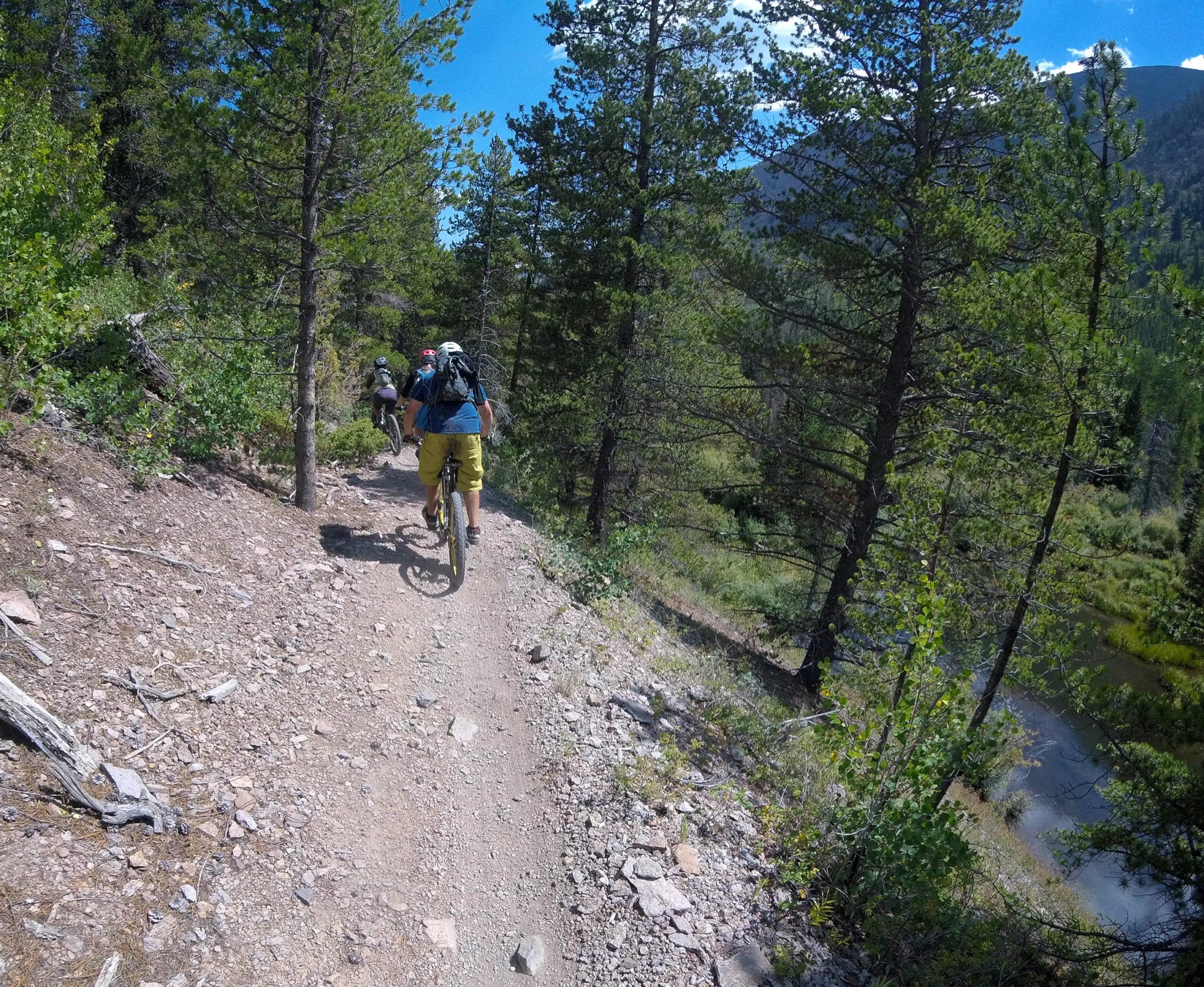 Two mountain bikers ride along a narrow, rocky trail surrounded by tall pine trees and lush greenery. A river can be seen flowing to the right, under a clear blue sky with a few clouds. The scene captures the essence of outdoor adventure in a natural landscape. Monarch Crest Trail mountain bike trail.