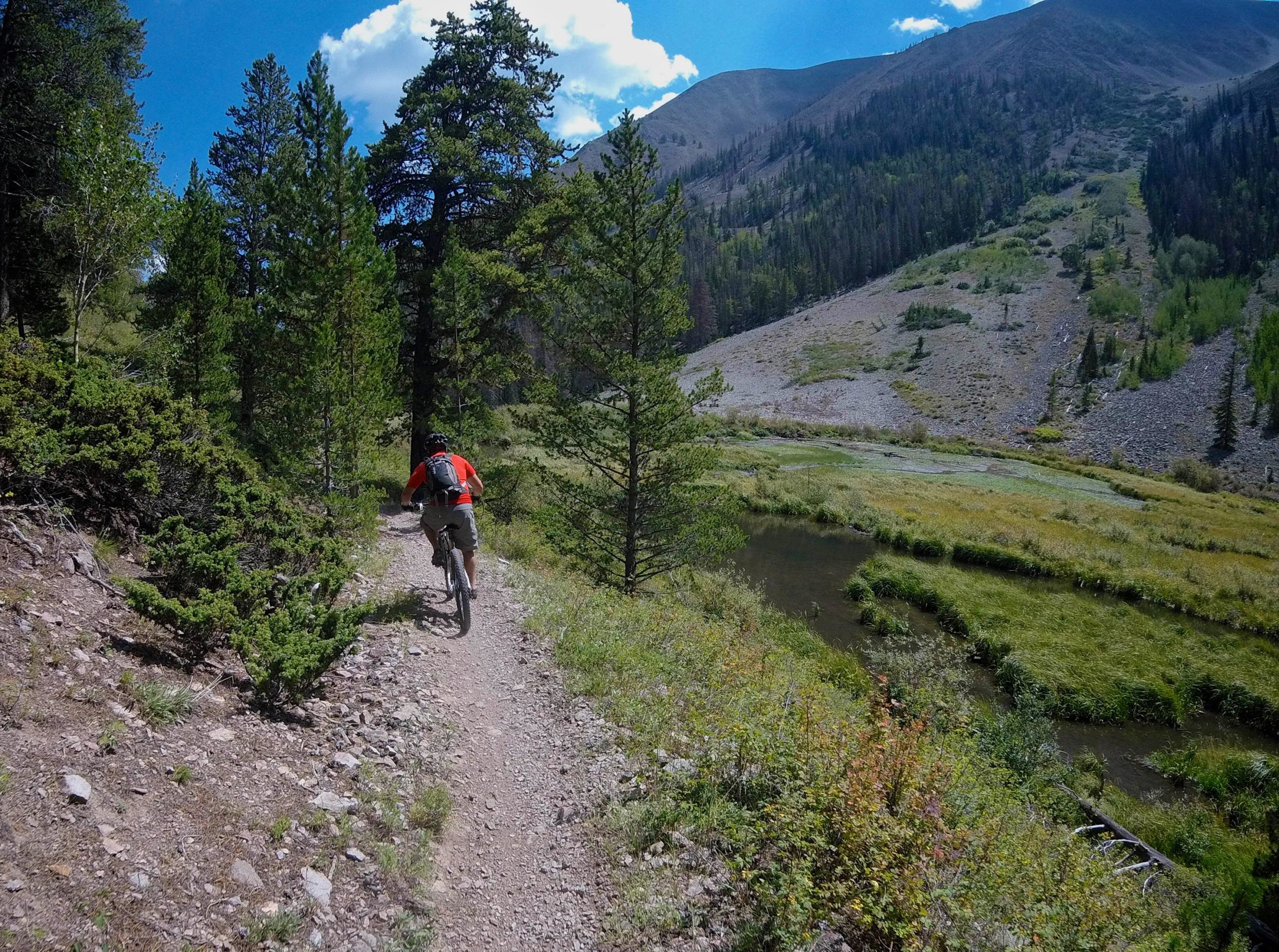 A mountain biker riding along a dirt trail surrounded by tall trees and a scenic landscape, featuring hills and a small creek in the background under a clear blue sky. Monarch Crest Trail mountain bike trail.