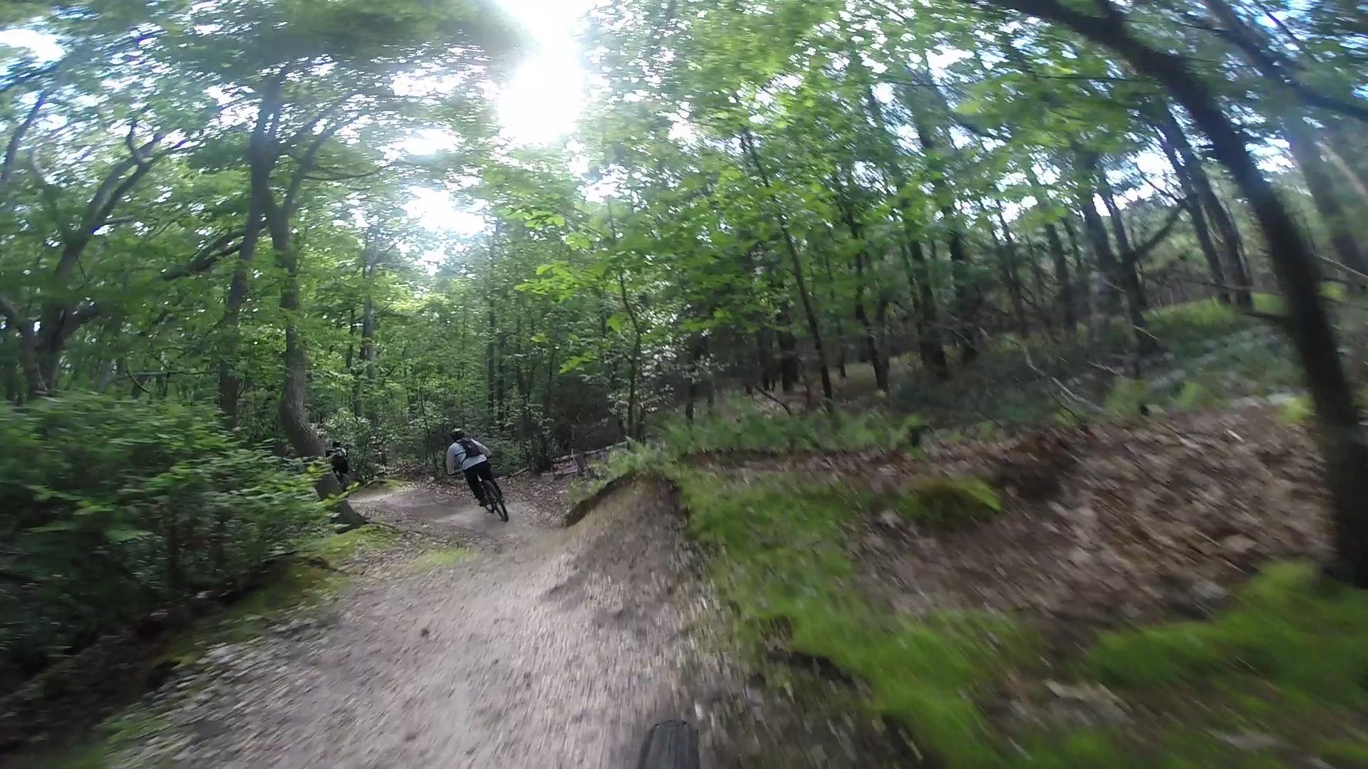 A mountain biker navigating a dirt trail through a lush green forest, with sunlight filtering through the trees. The path is lined with foliage, and the rugged terrain features tufts of grass and dirt mounds. Allaire State Park mountain bike trail.