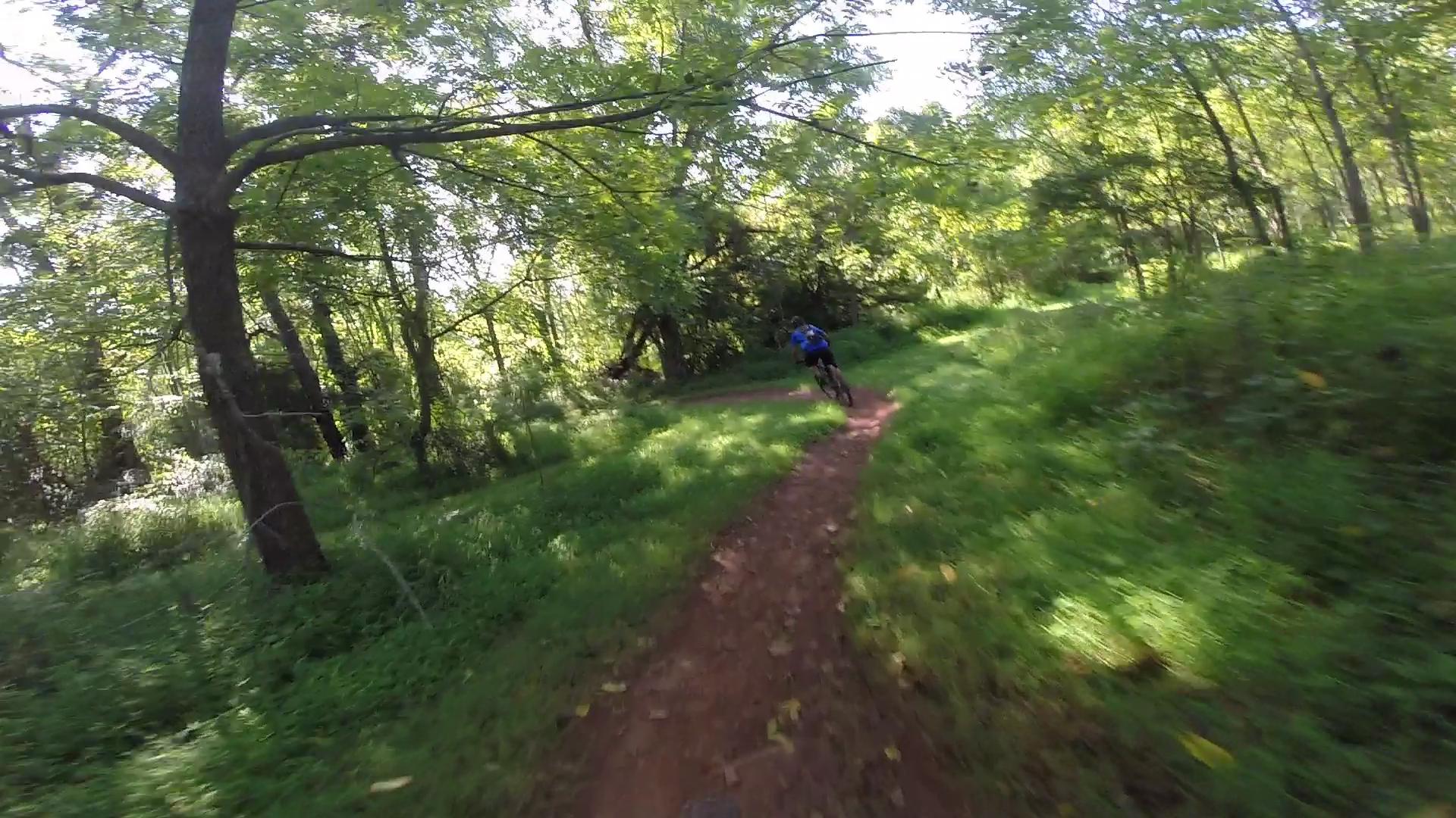 A mountain biker riding along a dirt trail surrounded by lush green trees and foliage on a sunny day. Allaire State Park mountain bike trail.
