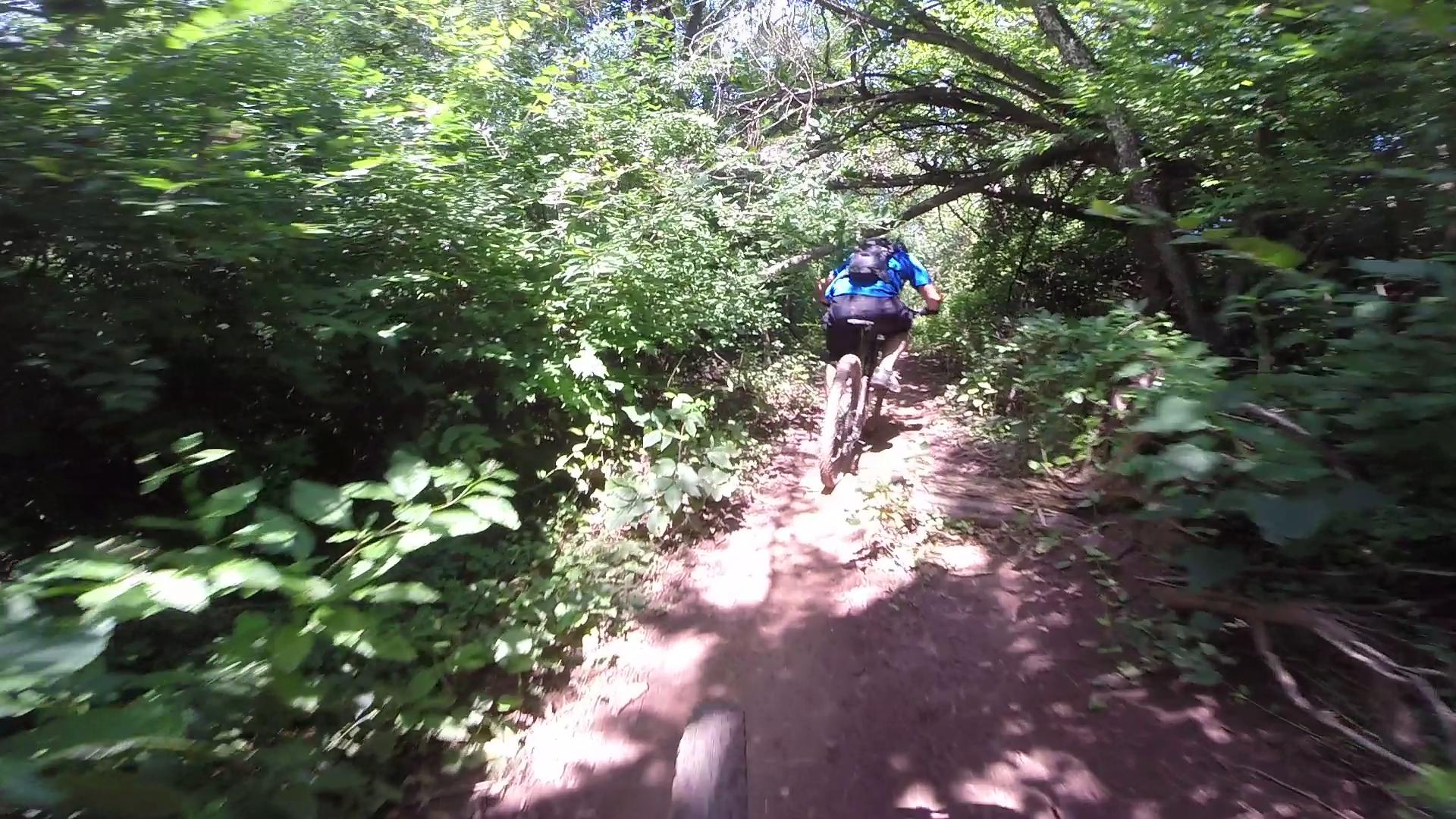 A mountain biker navigating a narrow dirt trail surrounded by dense greenery and trees. The biker, wearing a blue shirt and a backpack, is seen from behind as they ride through the lush landscape. Sunlight filters through the foliage, creating a vibrant, natural setting. Allaire State Park mountain bike trail.