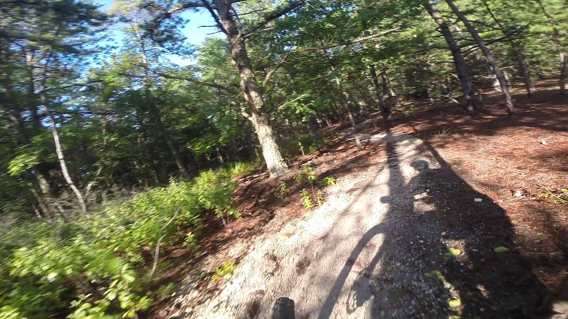 A view of a forested trail with sunlight filtering through the trees, showing a portion of a mountain bike and the shadow of a rider, capturing the essence of an exhilarating outdoor biking experience. Allaire State Park mountain bike trail.