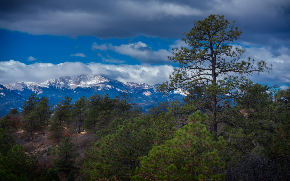10 Best Mountain Bike Trails in the Pike National Forest Singletracks