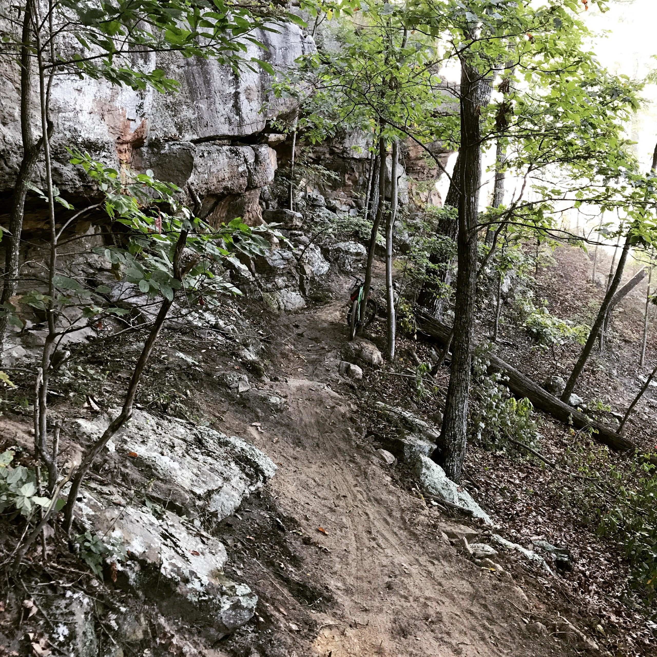 A dirt trail winding through a wooded area, surrounded by rocky outcrops and small trees. The path is sandy and shows signs of use, with a few larger rocks and fallen branches nearby. Sunlight filters through the foliage, creating a serene outdoor atmosphere. Sugarcamp Mountain mountain bike trail.