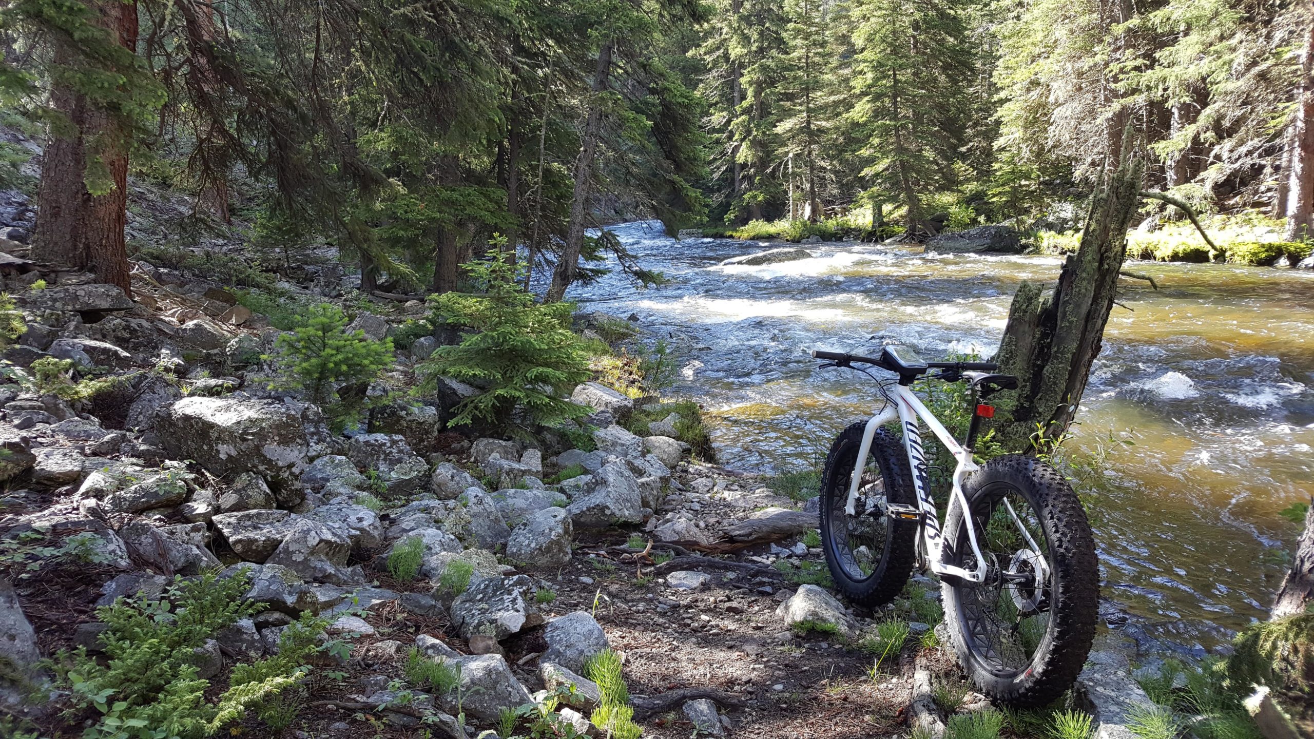 A mountain bike with fat tires is resting on a rocky path beside a flowing river, surrounded by tall pine trees and lush greenery. The sun filters through the forest, creating a serene natural setting. Clear Creek mountain bike trail.