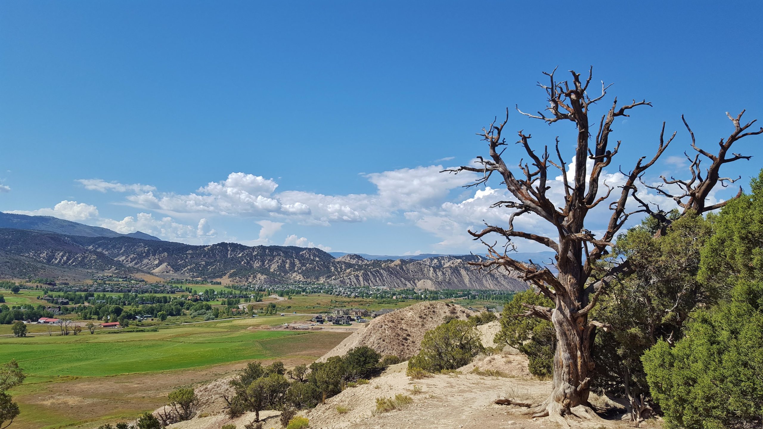 A scenic landscape featuring a dry, dead tree in the foreground, with rolling hills and lush green fields below. The background shows mountains under a clear blue sky with scattered white clouds. Haymaker Trail mountain bike trail.