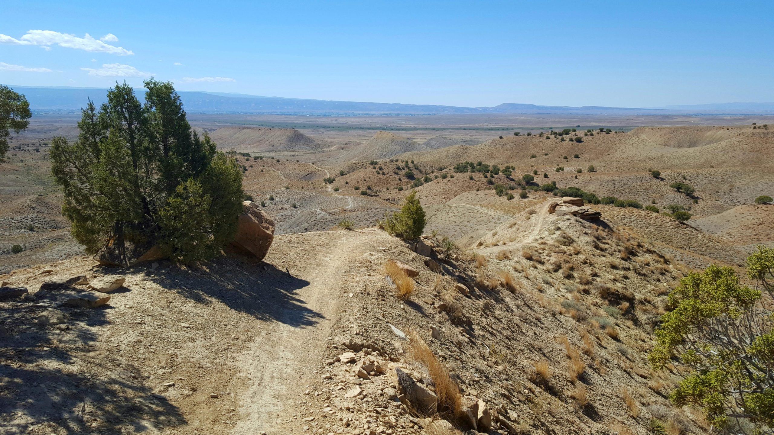 A rugged landscape featuring a dirt path winding through a barren, hilly terrain. Sparse vegetation and a few trees dot the scene, set against a bright blue sky with scattered clouds. In the background, distant hills and valleys extend into the horizon, emphasizing the arid environment. Joe's Ridge mountain bike trail.