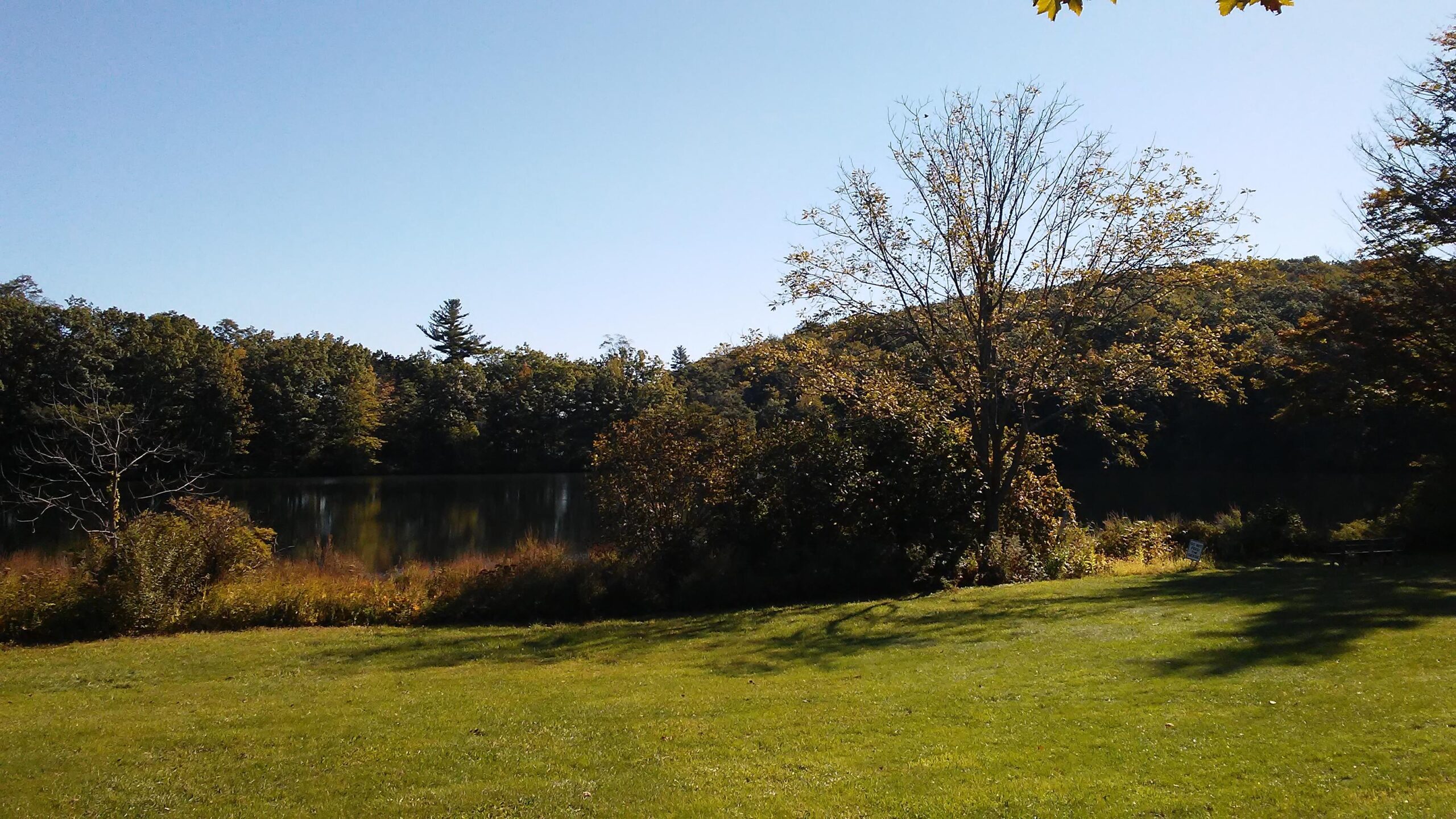 A serene landscape featuring a calm lake surrounded by trees, with a clear blue sky above. The foreground includes lush green grass and various shrubs, while the background showcases a wooded area with colorful autumn foliage.