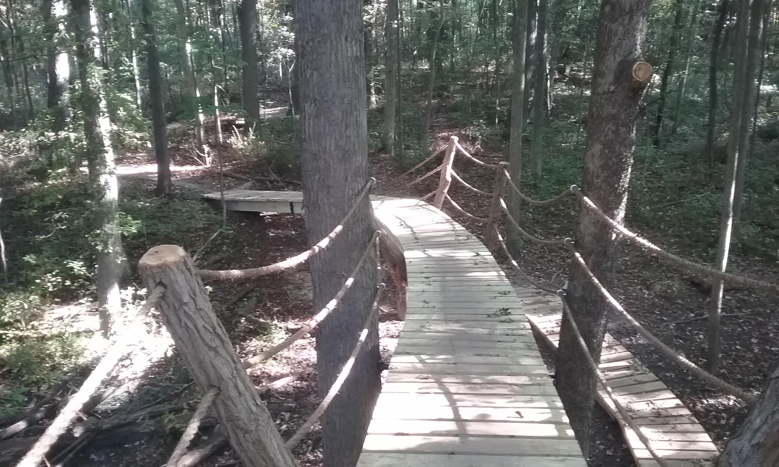 A winding wooden bridge surrounded by tall trees in a forested area, with sunlight filtering through the leaves and casting shadows on the ground. The bridge features rope railings and leads to another pathway in the distance. Oak Openings -- Beach Ridge Singletrack Trail mountain bike trail.