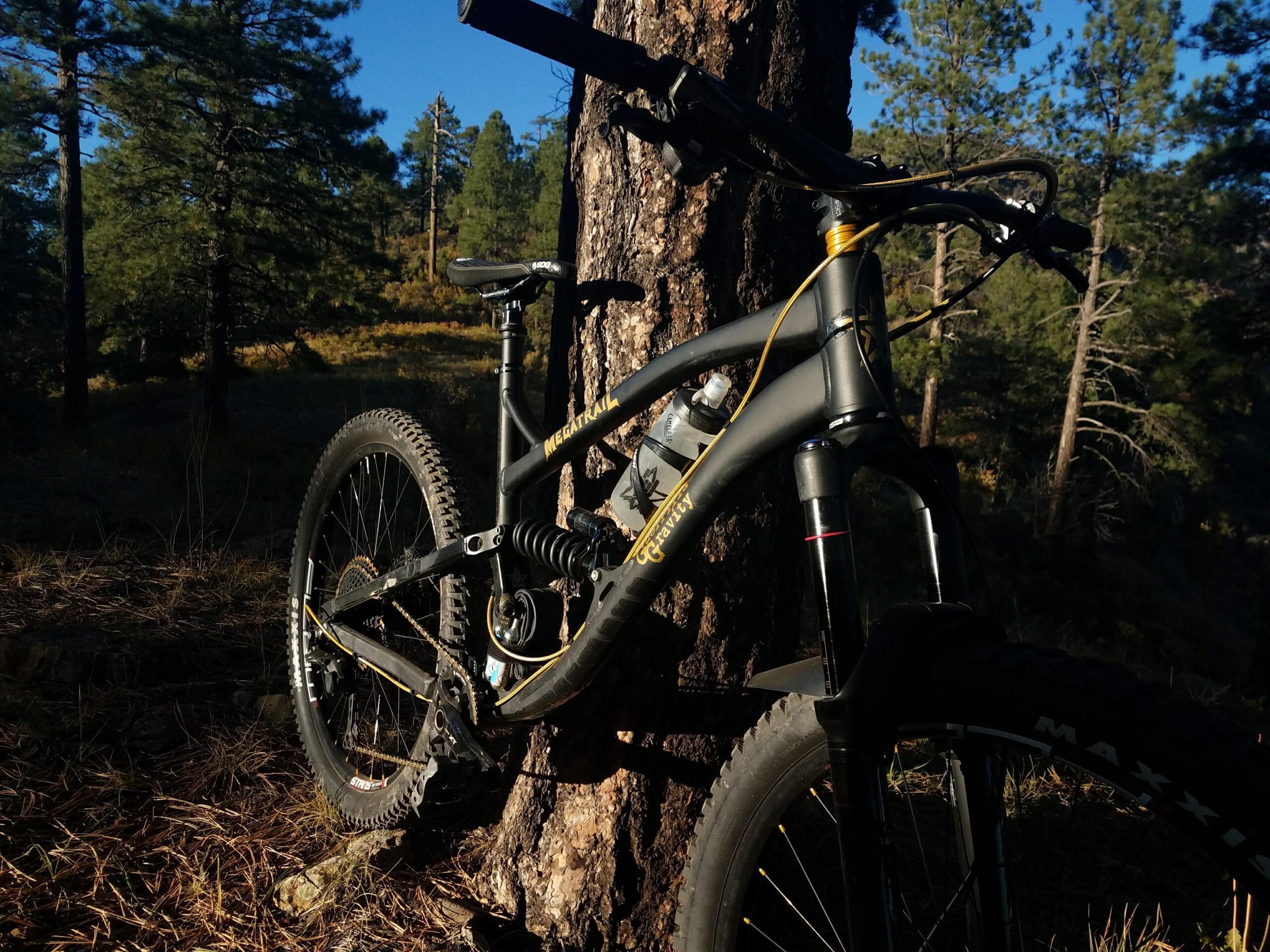 Guerrilla Gravity Megatrail: A mountain bike leaning against a tree in a forested area, with sunlight filtering through the tall pine trees. The bike features a sleek black and yellow design, showcasing its suspension and rugged tires. The surrounding environment includes dry grass and a mix of shadows and sunlight, highlighting the natural setting.