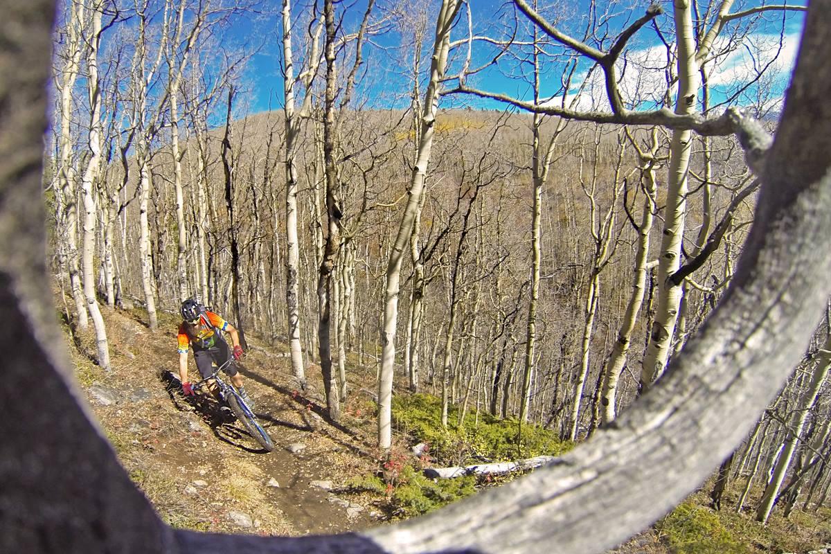 Michelin Wild AM: A mountain biker navigates a winding trail through a dense forest of bare trees under a clear blue sky. The scene captures the action from an angled perspective, with a close-up view of a tree branch framing the lower corner of the image.