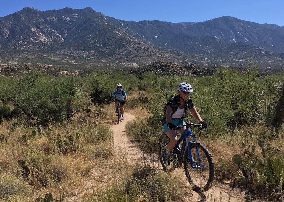 Two mountain bikers ride along a dirt trail surrounded by desert vegetation and cacti, with mountainous terrain in the background under a clear blue sky. 50-year Trail / Golder Ranch mountain bike trail.