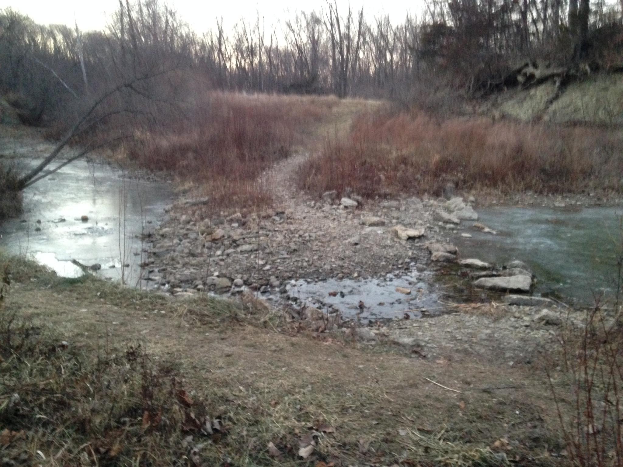 A serene landscape featuring a meandering stream partially covered with ice, flanked by rocky banks and patches of tall grass. The scene is set in a wooded area with bare trees against a soft evening sky, creating a tranquil, natural ambiance. Thousand Hills mountain bike trail.