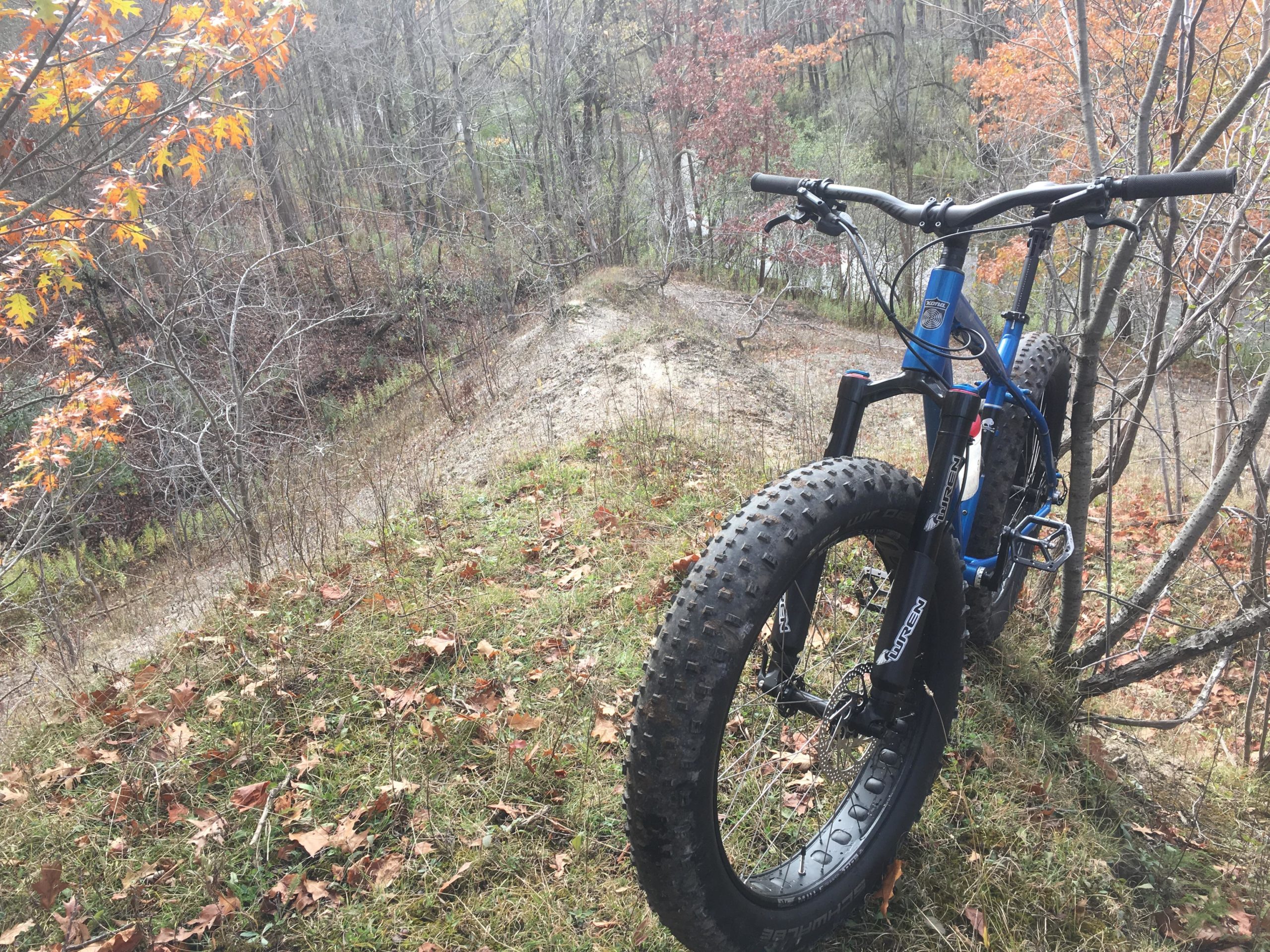 A blue fat bike resting on a grassy slope with fallen leaves, surrounded by trees in autumn colors. A dirt path curves down the hill, leading into the wooded area in the background. Payne
