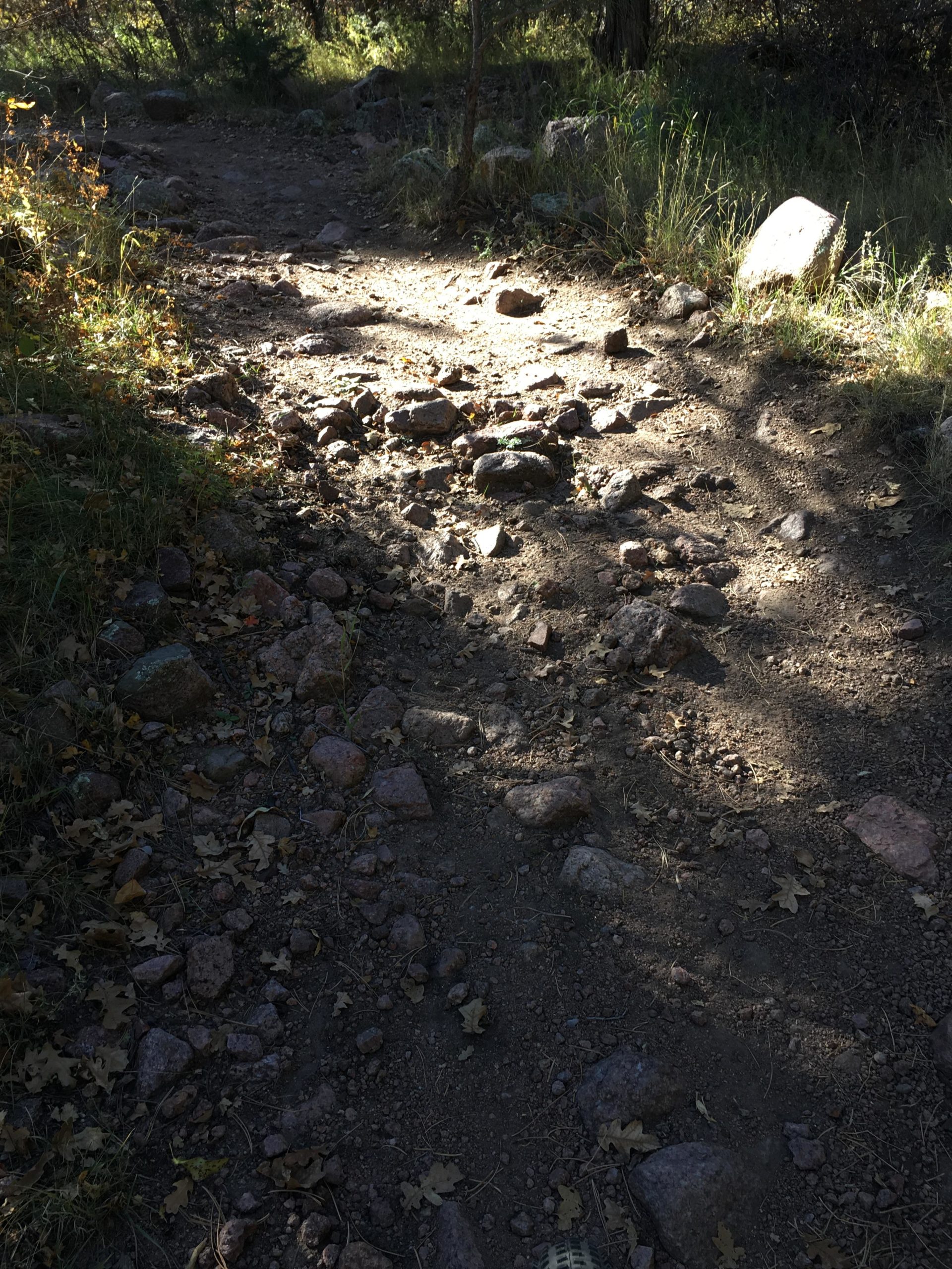 A rugged hiking trail scattered with rocks and dirt, surrounded by greenery and sunlight filtering through the trees. Falcon Trail mountain bike trail.