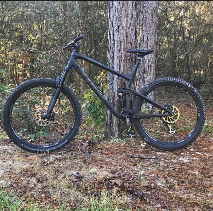 Trek Fuel EX 8: A black mountain bike positioned beside a tree in a wooded setting, with lush greenery and pine needles on the ground. The bike features thick tires and a suspension system, ideal for off-road cycling.