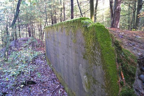 A large, weathered concrete slab overgrown with moss, set in a dense forest. Surrounding the slab are various trees and underbrush, indicating a natural environment. Old Rifle Range mountain bike trail.