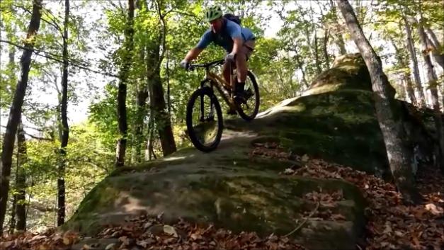 Alt text: A mountain biker rides over a rocky outcrop in a wooded area, surrounded by green trees and fallen leaves. The biker is dressed in a blue shirt and helmet, positioned mid-ride as they navigate the uneven terrain. Strouds Run State Park mountain bike trail.