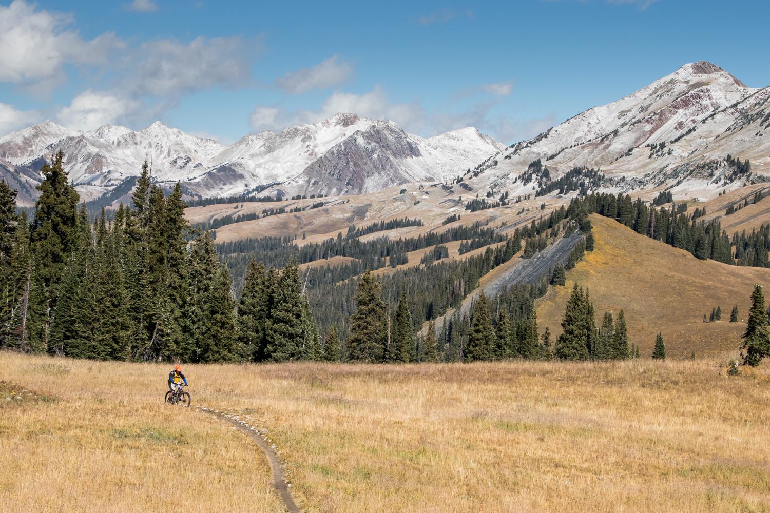 A mountain biker rides along a winding dirt trail through a grassy field, surrounded by tall pine trees and dramatic mountain ranges in the background. The peaks are dusted with snow, contrasting against the clear blue sky and rolling hills below. Trail 401 mountain bike trail.