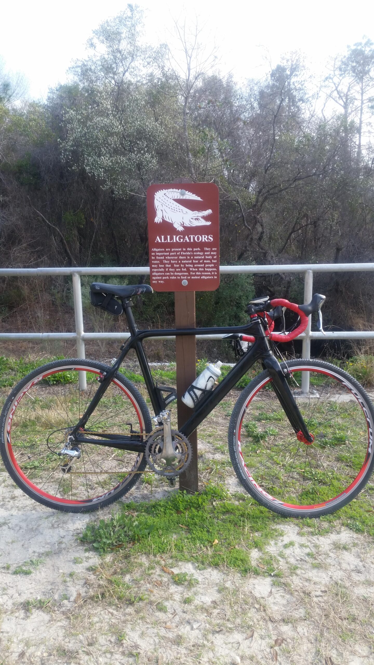 A black bicycle with red accents is parked next to a brown informational sign about alligators, set against a backdrop of trees and greenery. The sign provides details about the presence of alligators in the park and safety guidelines for visitors.
