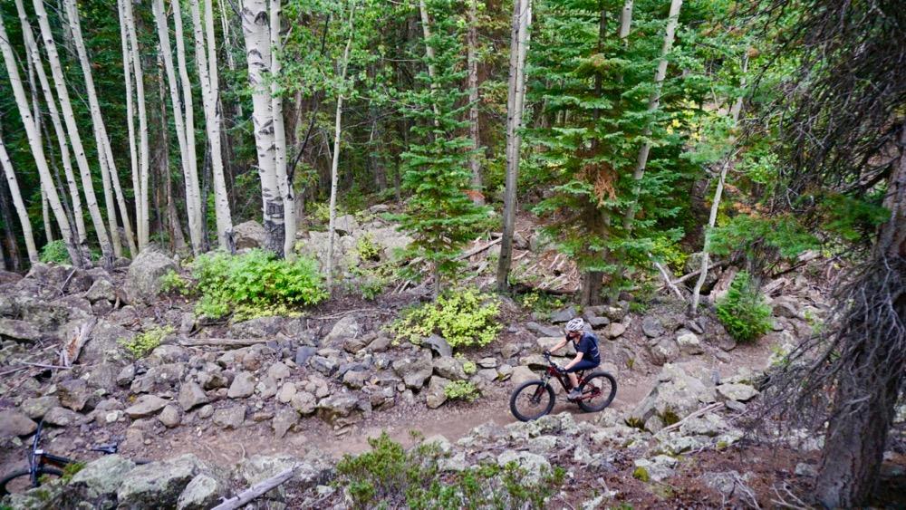 A mountain biker navigating a winding trail through a dense forest with tall trees and rocky terrain. Powderhorn Mountain Resort mountain bike trail.