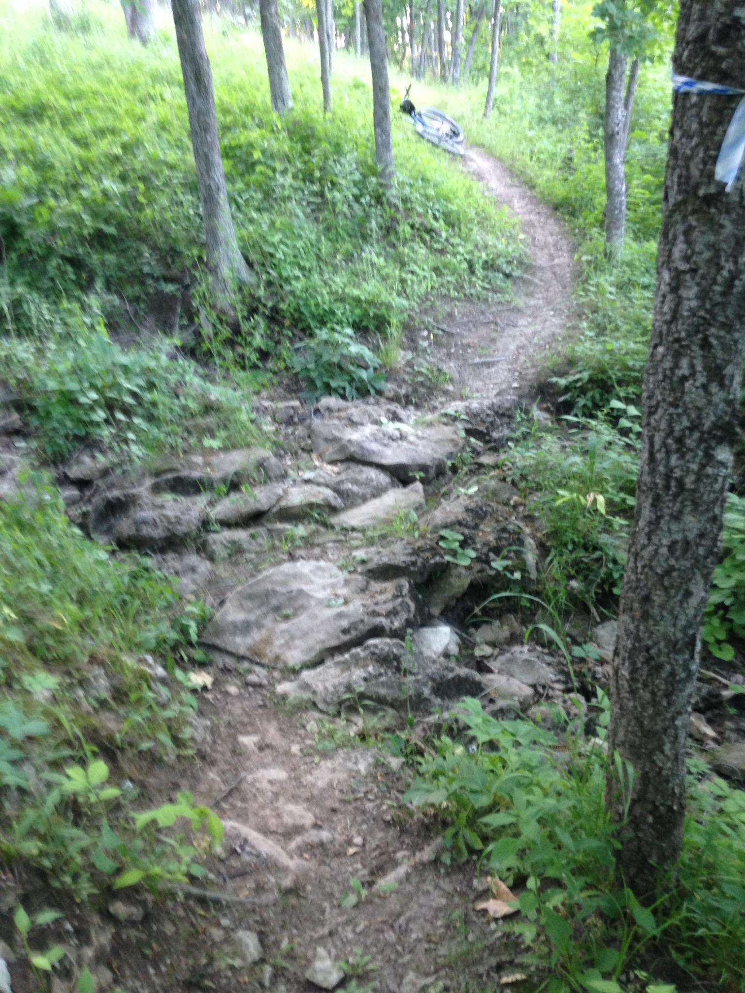 A winding dirt trail through a wooded area, featuring rocky sections and lush green vegetation on either side. A bicycle is leaning against a tree in the background. Thousand Hills mountain bike trail.