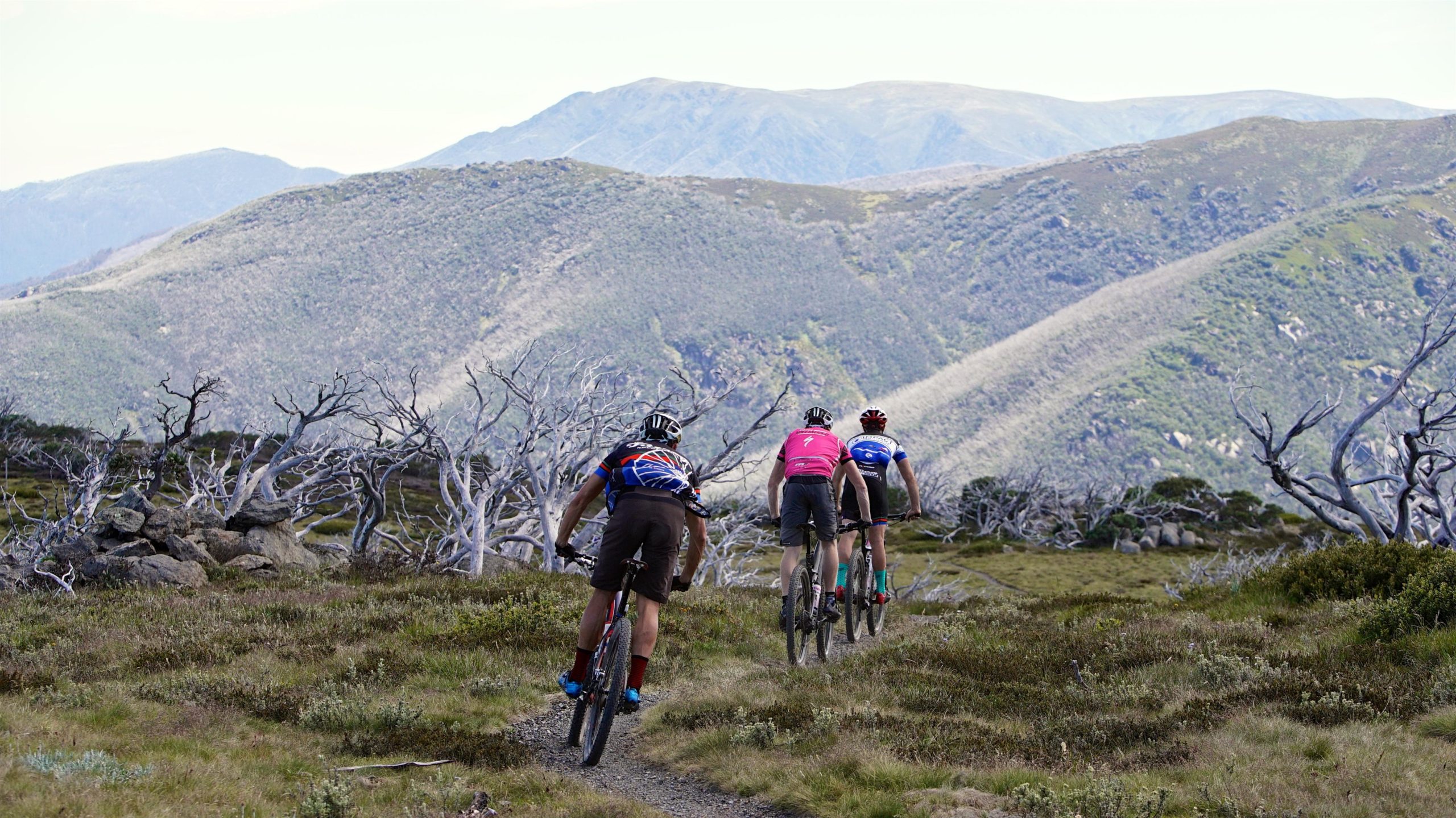 Three mountain bikers riding along a narrow trail through a mountainous landscape, with rolling hills and sparse trees in the background. The scene captures the natural beauty of the outdoors, showcasing a mix of lush greenery and rocky terrain. Frying Pan Spur mountain bike trail.