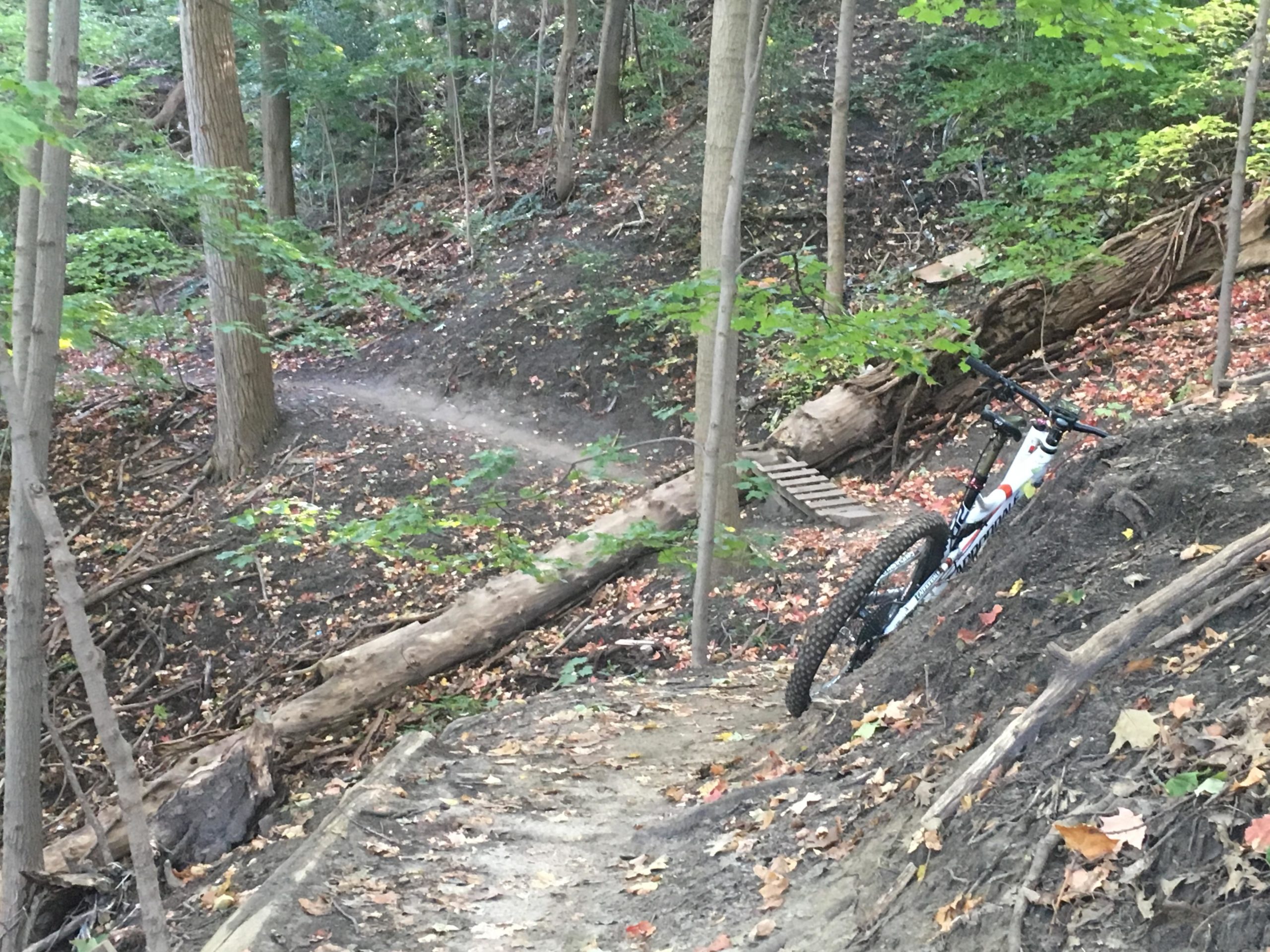 A mountain bike leaning against a dirt slope in a wooded area with green trees and scattered autumn leaves on the ground. A narrow dirt trail winds through the scene, with a wooden bridge visible in the background. Dust is kicked up along the trail, suggesting recent bike activity. Don Valley mountain bike trail.