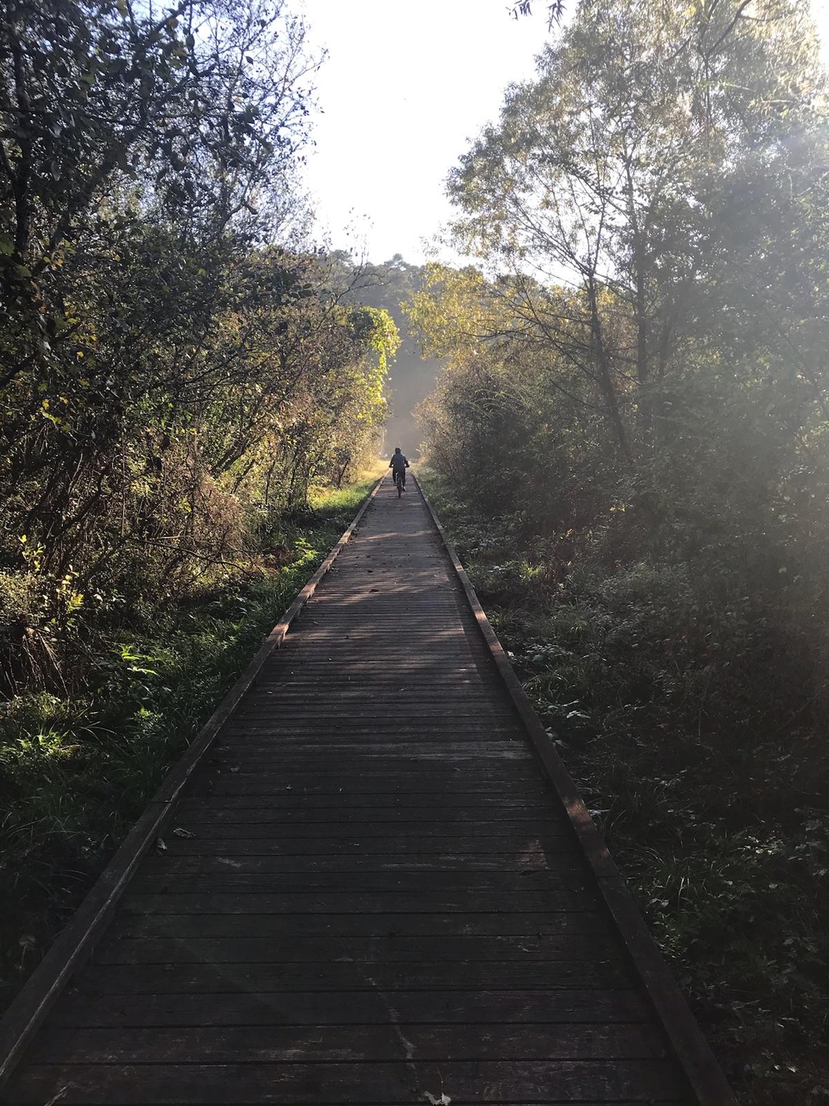 A wooden boardwalk leads through a sunlit forest, surrounded by trees and shrubs. A solitary figure is walking in the distance, with mist hovering in the air, creating a tranquil atmosphere. Noxubee Crest mountain bike trail.