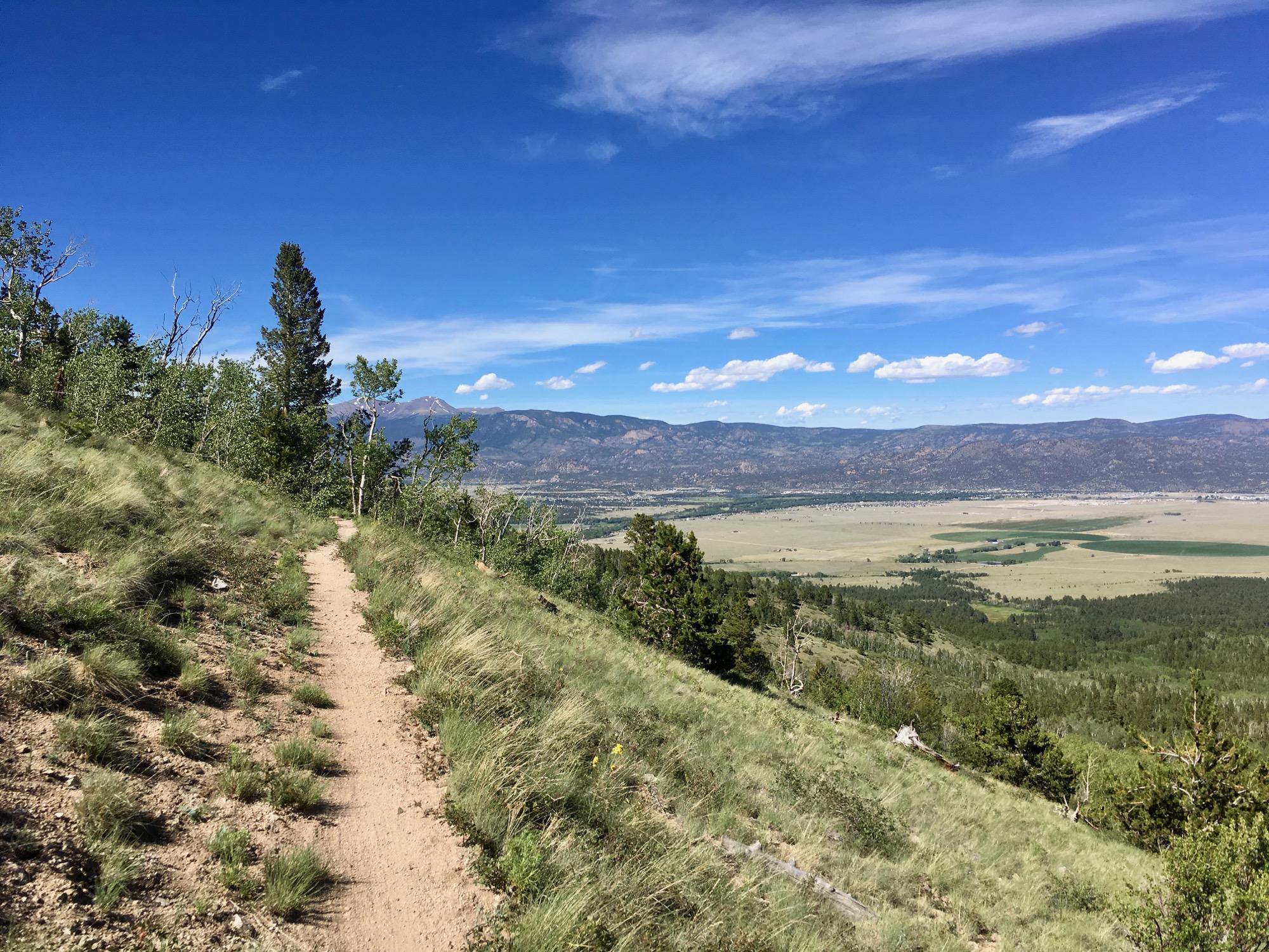 A winding dirt trail traverses a hillside, bordered by patches of grass and scattered trees. In the background, expansive green fields stretch towards distant mountains under a clear blue sky with a few wispy clouds. Colorado Trail: Mount Princeton to Avalanche Trailhead / Collegiate Peaks Wilderness mountain bike trail.