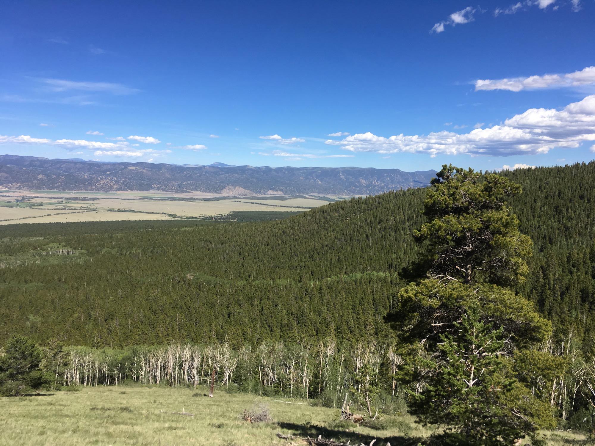 A scenic view of rolling green hills covered with dense coniferous trees, stretching towards distant mountains under a clear blue sky with scattered white clouds. Colorado Trail: Mount Princeton to Avalanche Trailhead / Collegiate Peaks Wilderness mountain bike trail.
